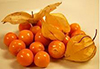 CAPE GOOSEBERRIES image