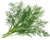 DILL image